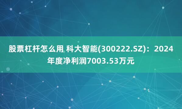 股票杠杆怎么用 科大智能(300222.SZ)：2024年度净利润7003.53万元