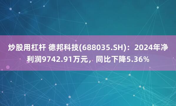 炒股用杠杆 德邦科技(688035.SH)：2024年净利润9742.91万元，同比下降5.36%