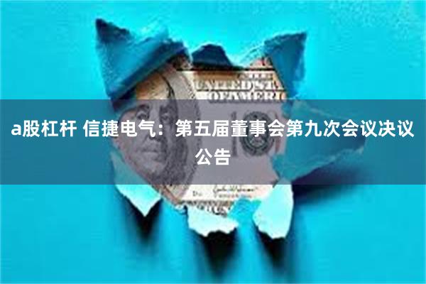a股杠杆 信捷电气：第五届董事会第九次会议决议公告